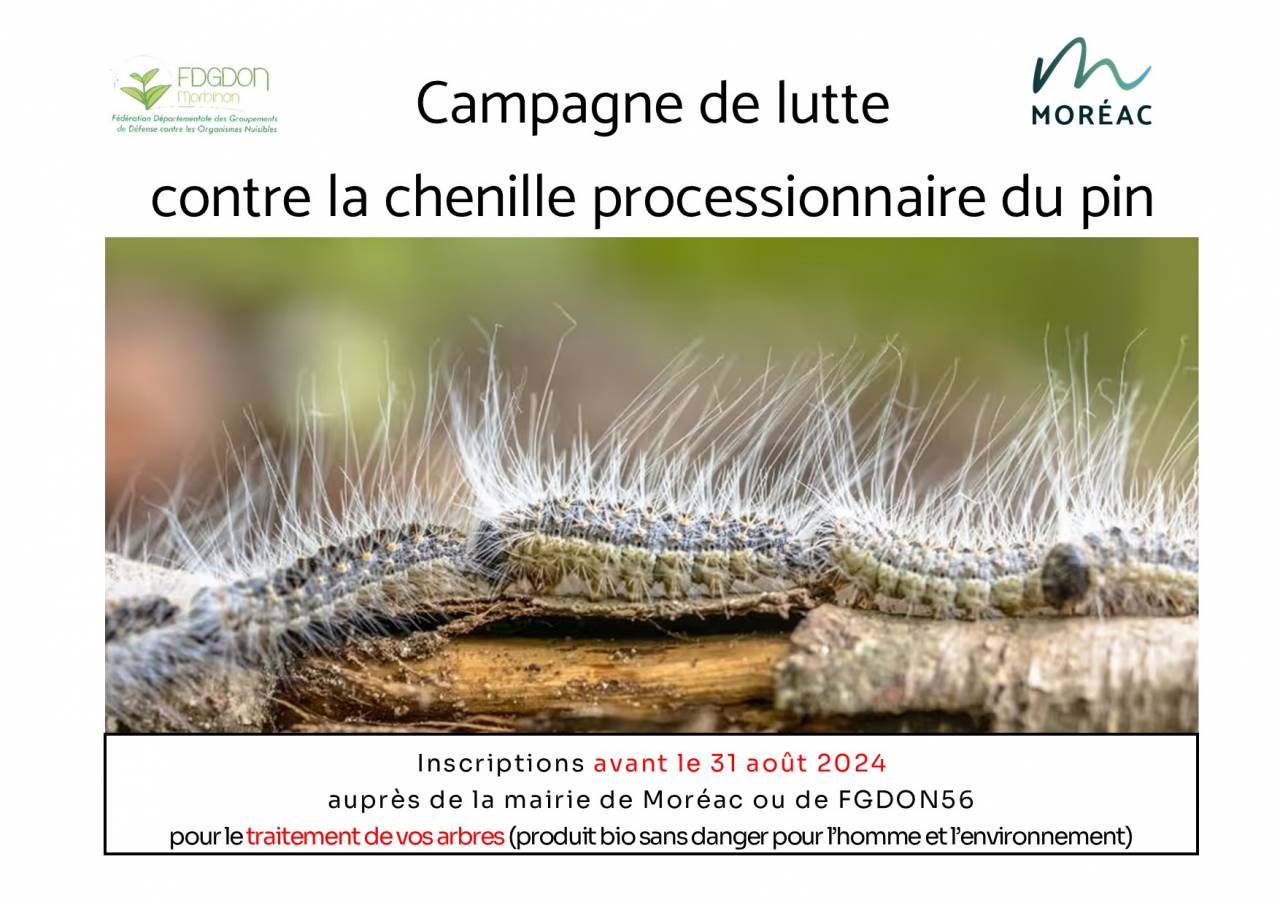 Campagne lutte inscriptions